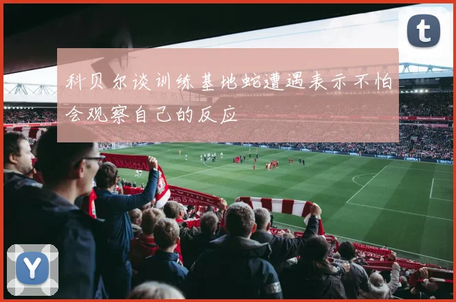 科贝尔谈训练基地蛇遭遇表示不怕会观察自己的反应