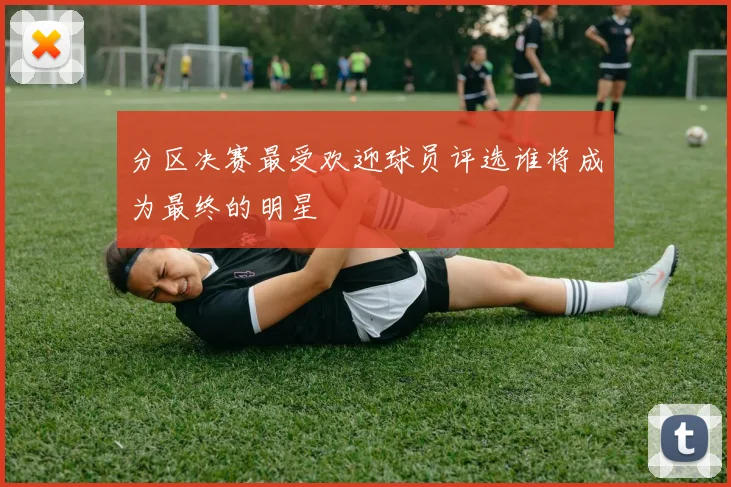 分区决赛最受欢迎球员评选谁将成为最终的明星