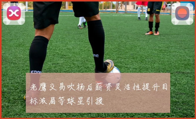 老鹰交易吹杨后薪资灵活性提升目标浓眉等球星引援